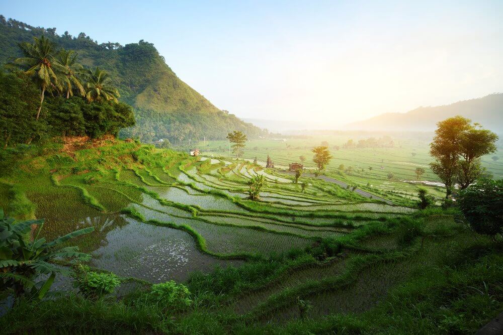 Bali ubud