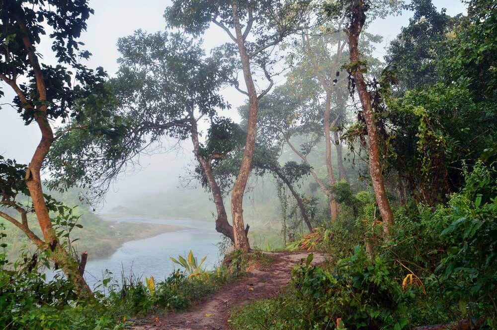 Chitwan National Park