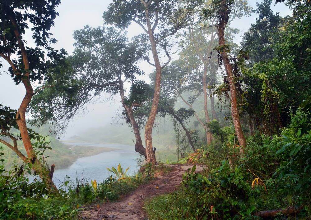 Chitwan National Park