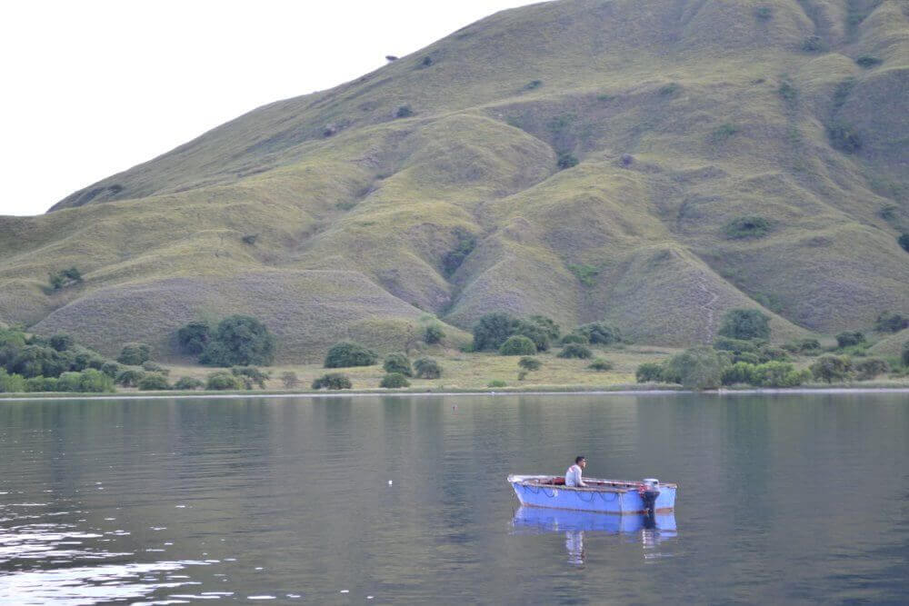 Komodo, Indonesie Komodo