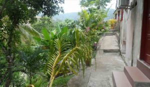 Holiday View Inn Taman Negara, Maleisie, Tripadvisor