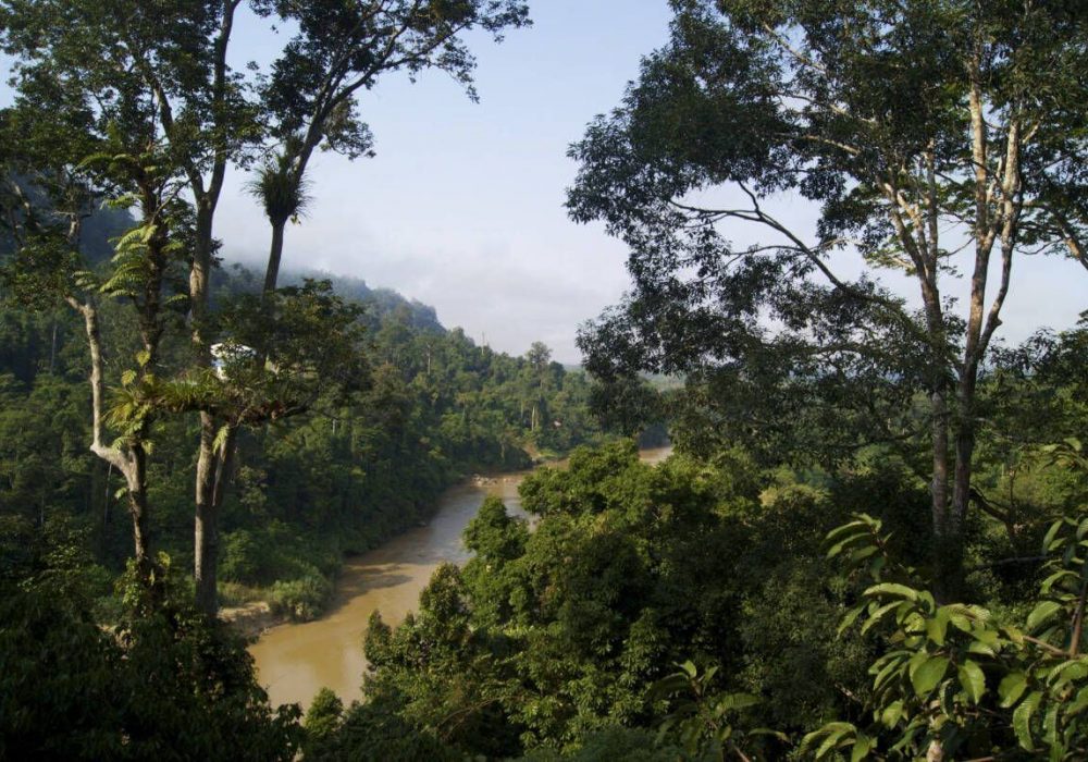 Taman Negara