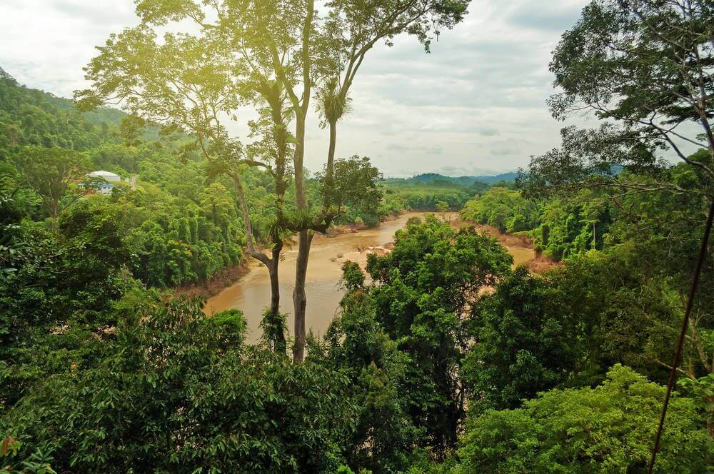 Taman Negara