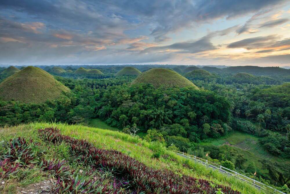 Bohol