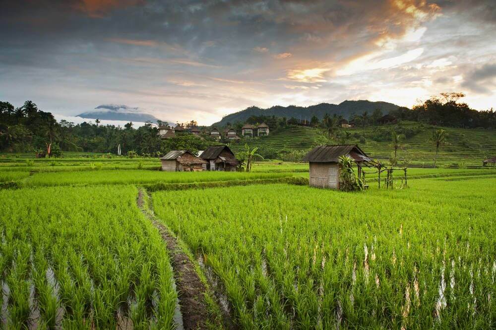 Gunung Agung