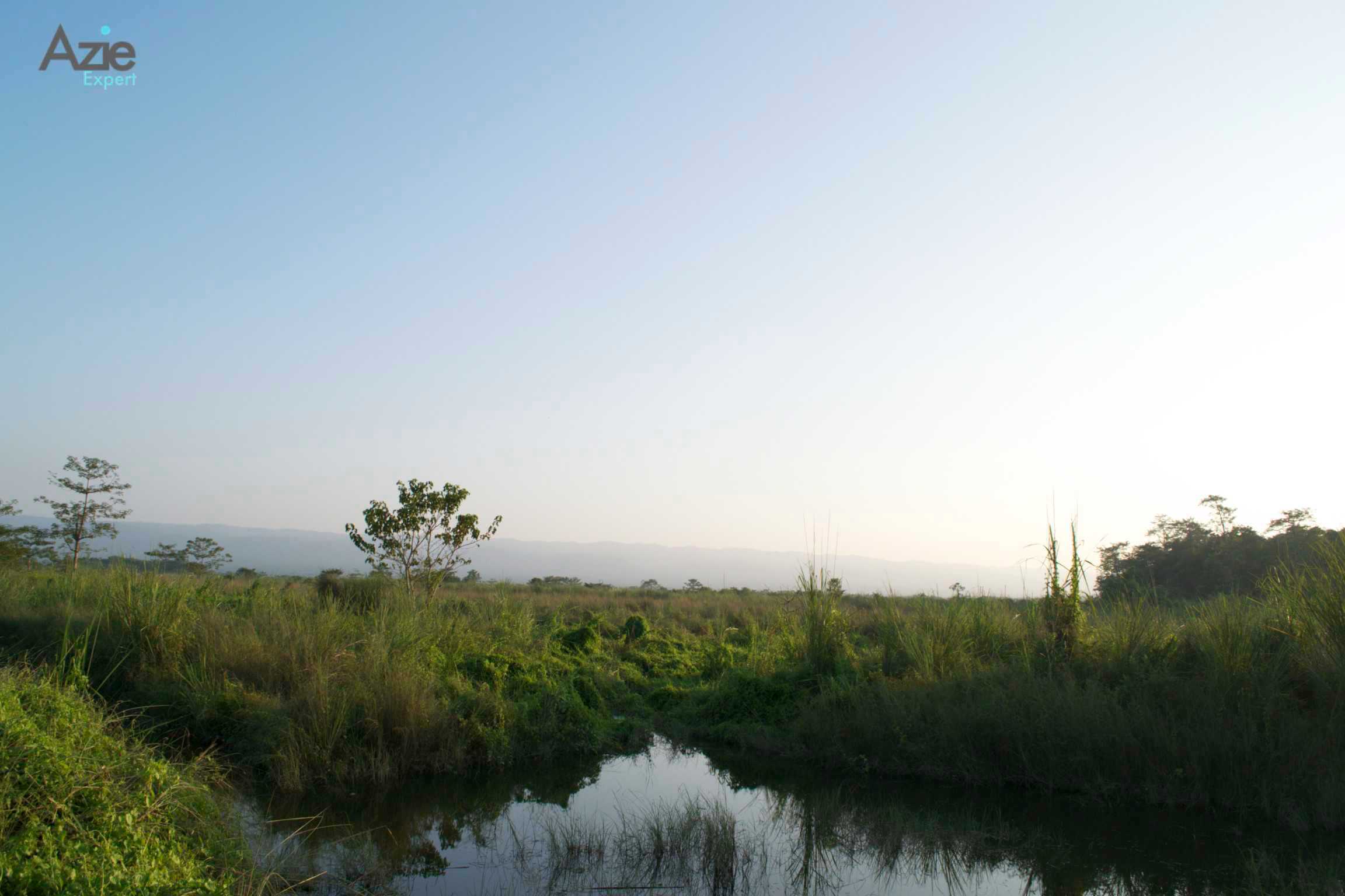 Chitwan National Park