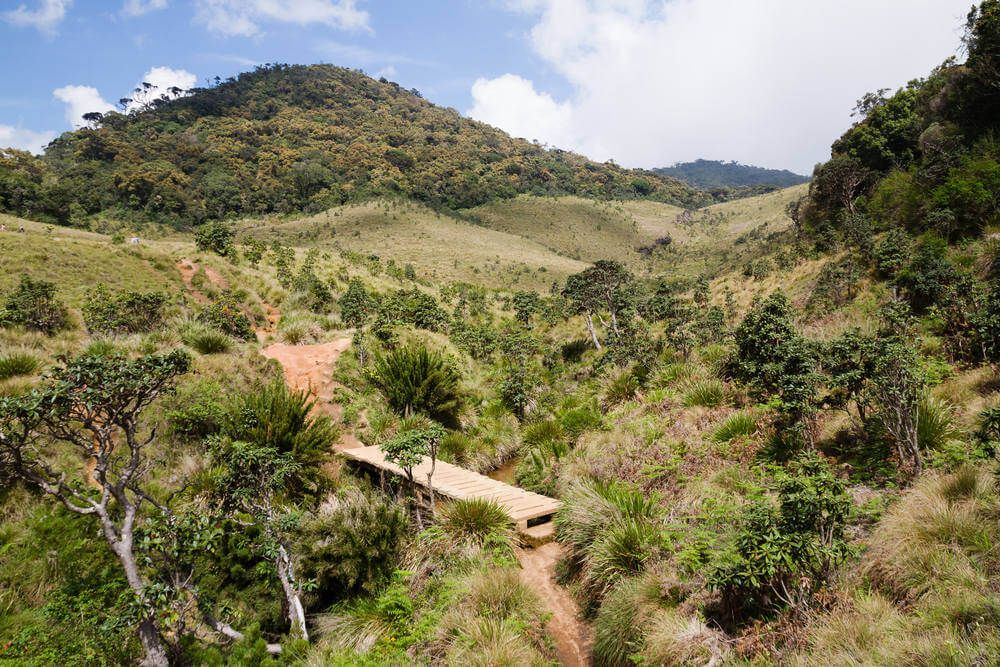 Horton Plains