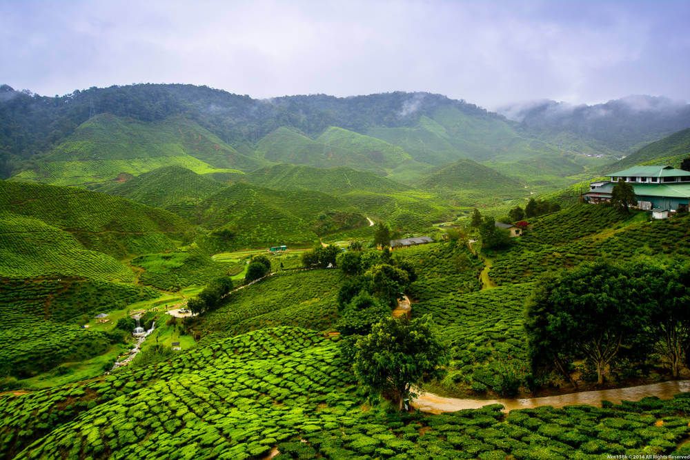 Darjeeling