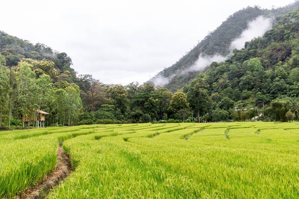 Mae Hong Son