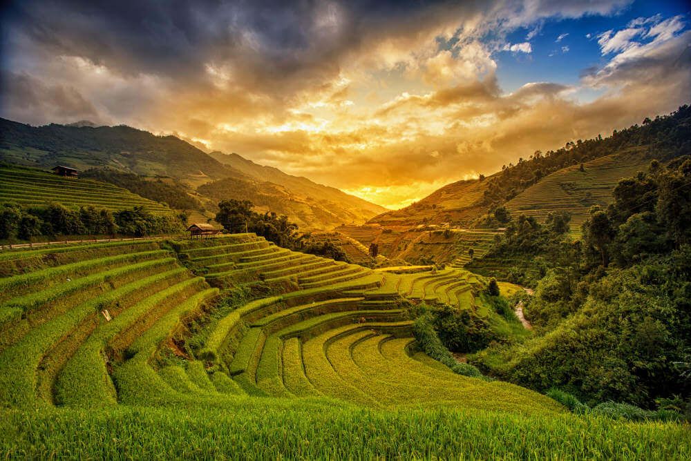 Mu Cang Chai