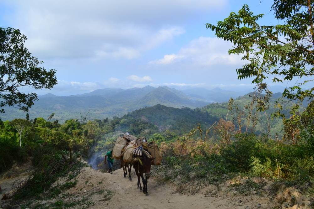 Ciudad Perdida