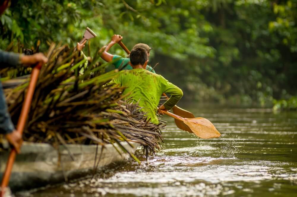 yasuni national park