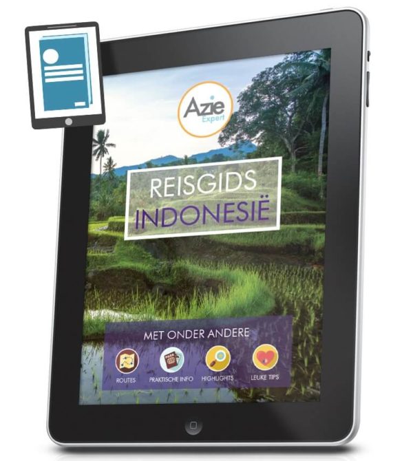 ipad_Indo