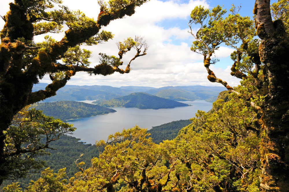 Te Urewera National Park