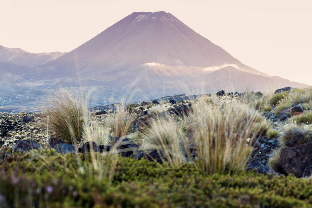 Tongariro National Park