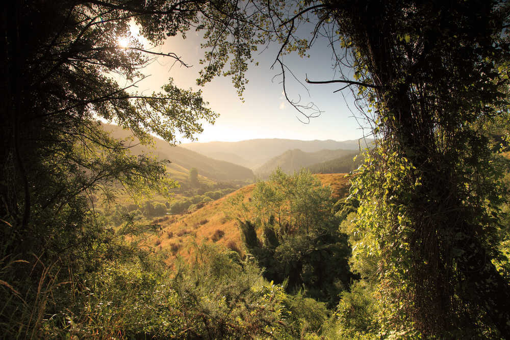 Abel Tasman National Park, Nieuw-Zeeland