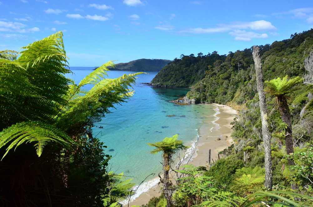 Stewart Island