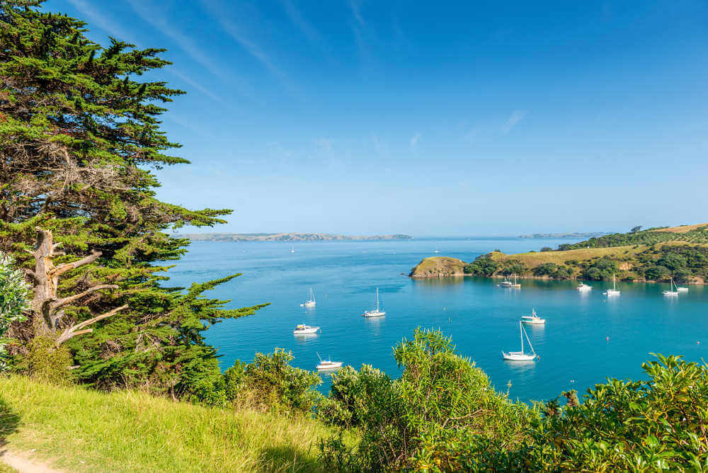 Waiheke Island