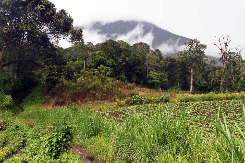 Kerinci National Park