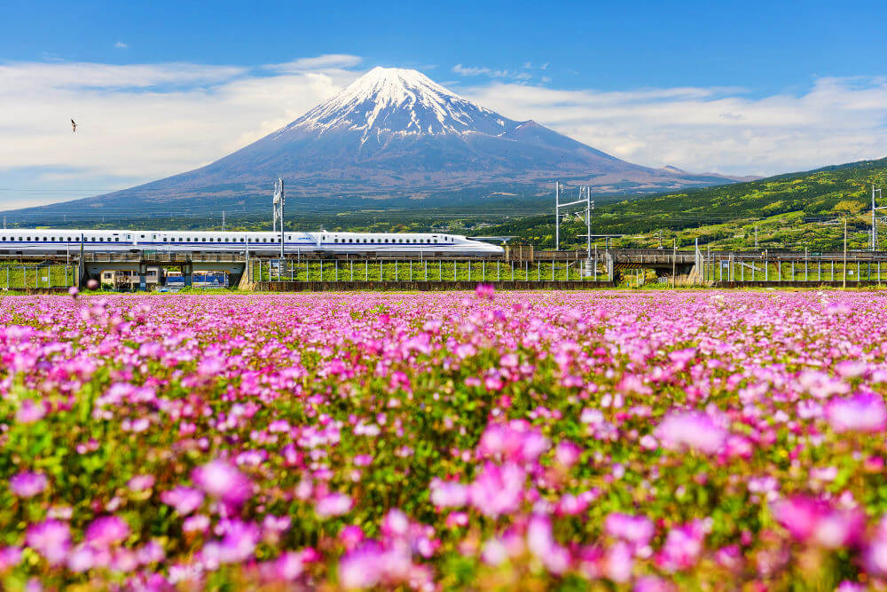 Japan Rail Pass