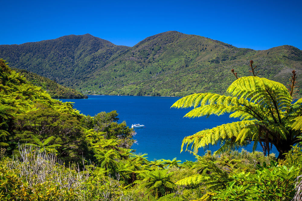 Marlborough Sounds