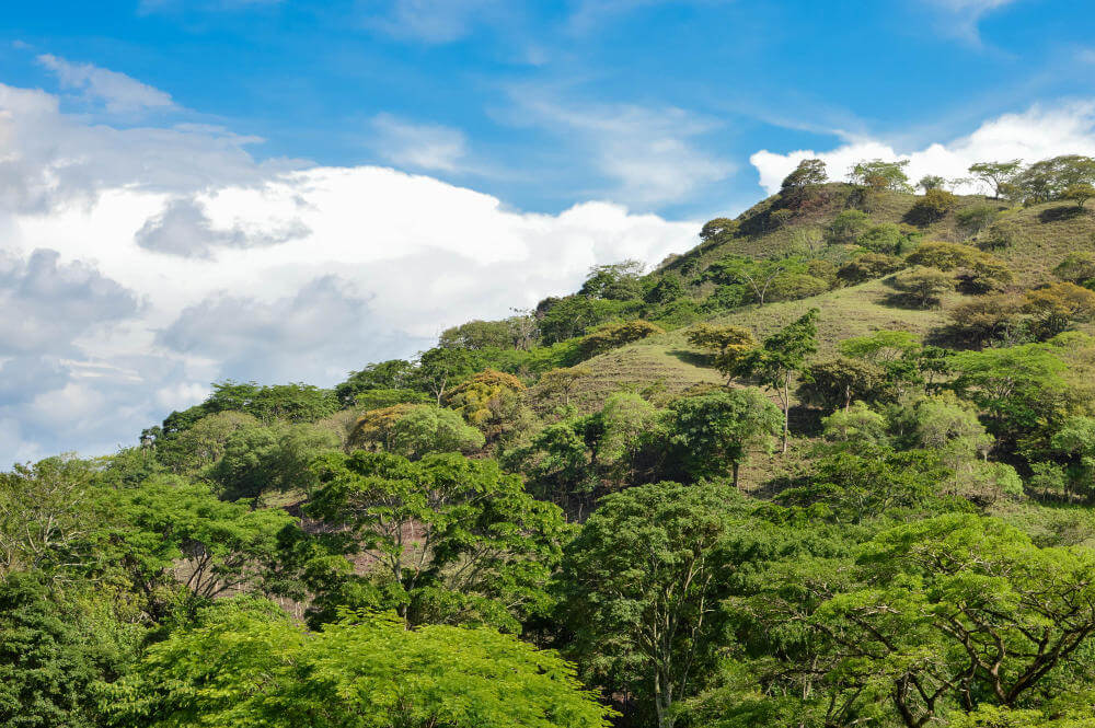 Matagalpa