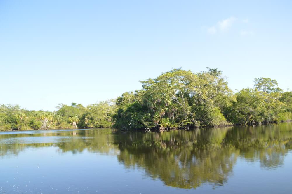 Belize staat bij de meeste mensen Belize bekend om de tropische stranden, reggae vibes en prachtige eilanden. Dat vind je er ook! Wat veel mensen echter niet weten is dat Belize qua natuur en wildlife tot de mooiste landen van Midden-Amerika behoort. Wij delen onze tips.