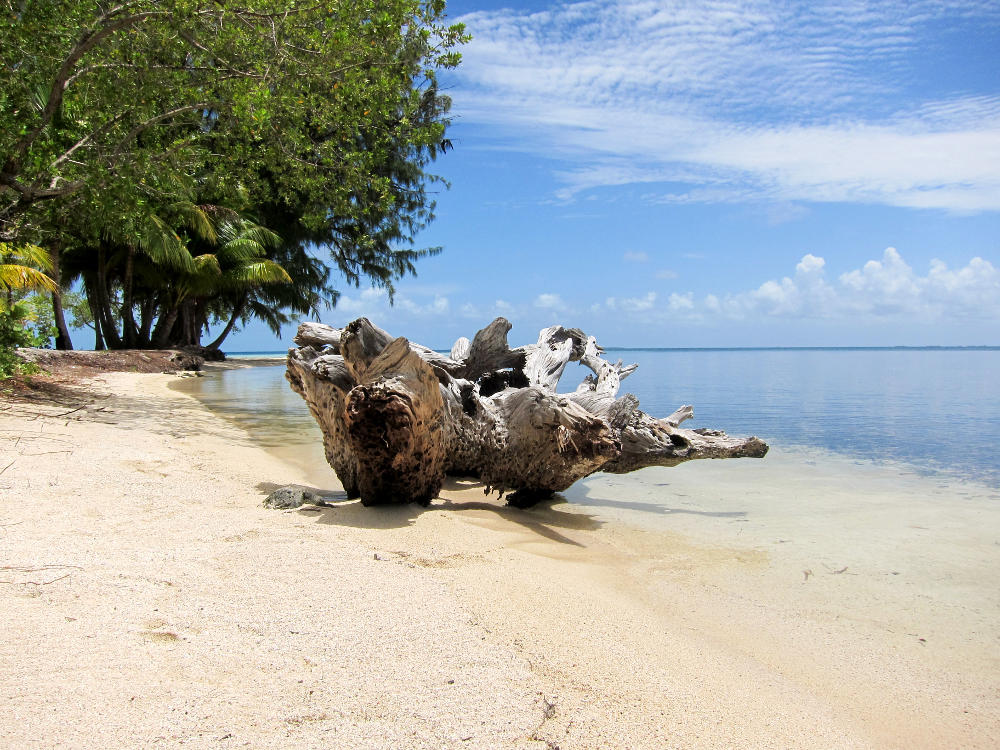 South Water Caye