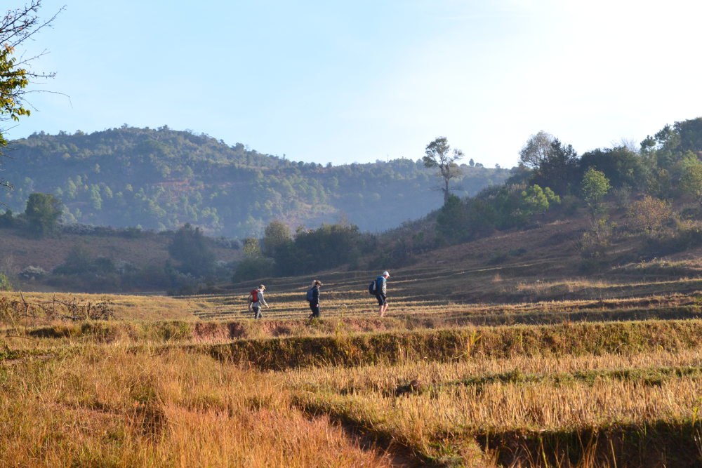 Een van de leukste dingen om te doen in Myanmar is de trekking van Kalaw naar Inle Lake. In deze 3-daagse tocht loop je door het ongerepte landschap van Myanmar om uiteindelijk bij het Inle lake uit te komen. Het was een van de hoogtepunten van onze reis door Myanmar en wij delen graag onze tips.