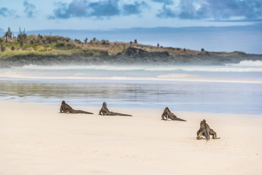 Galapagos eilanden in Ecuador