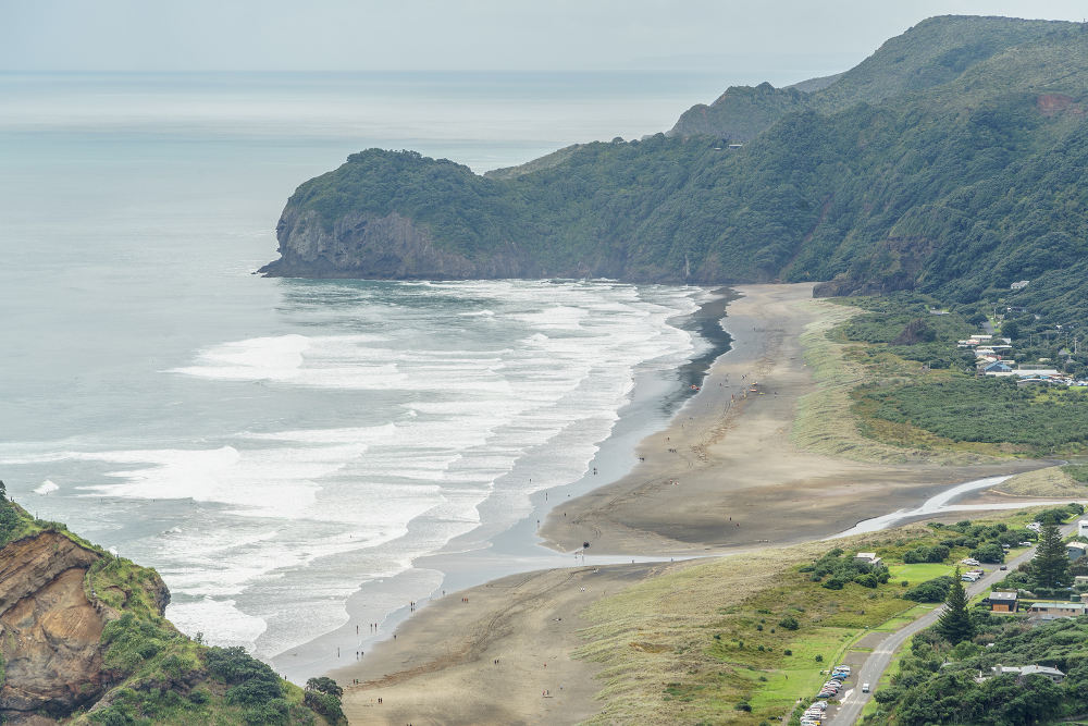 Muriwai beach