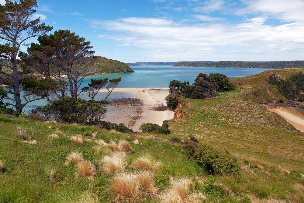 Stewart Island, Nieuw-Zeeland Stewart Island
