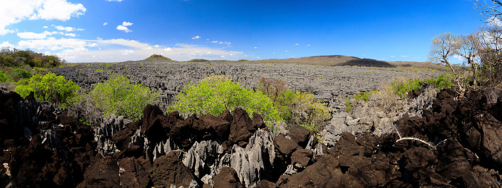 Ankarana National Park