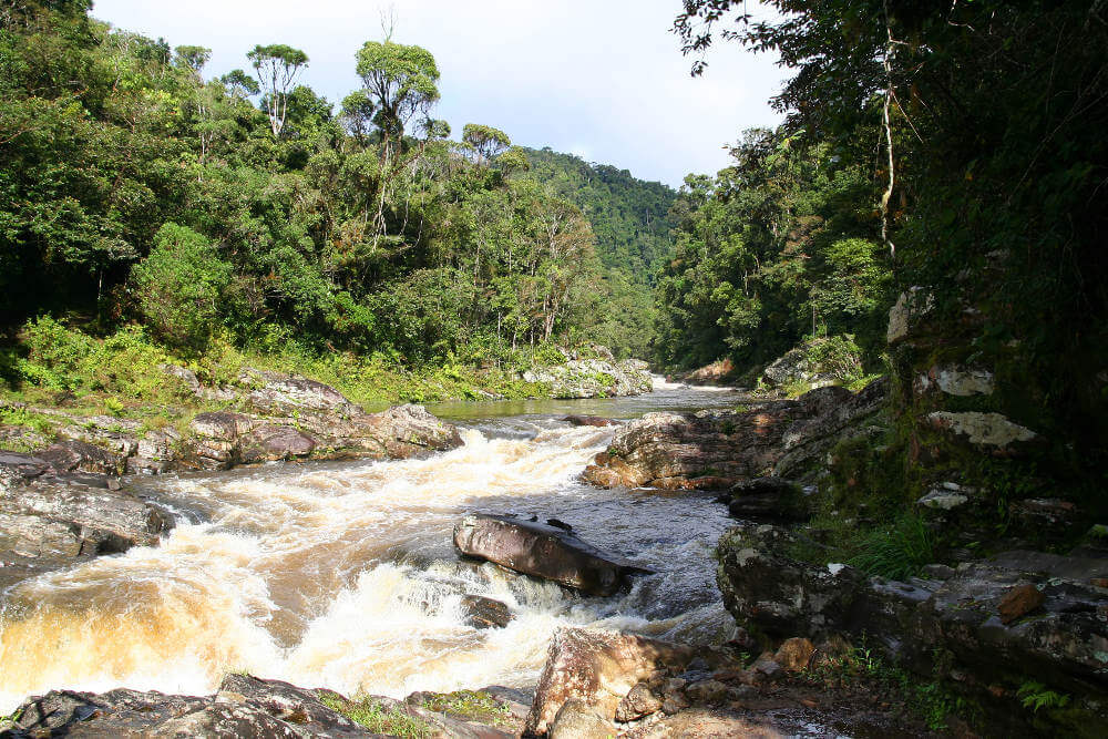 Ranomafana National Park