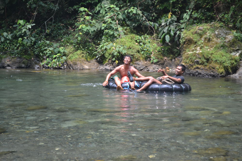 Gidsen Orang Oetan trekking