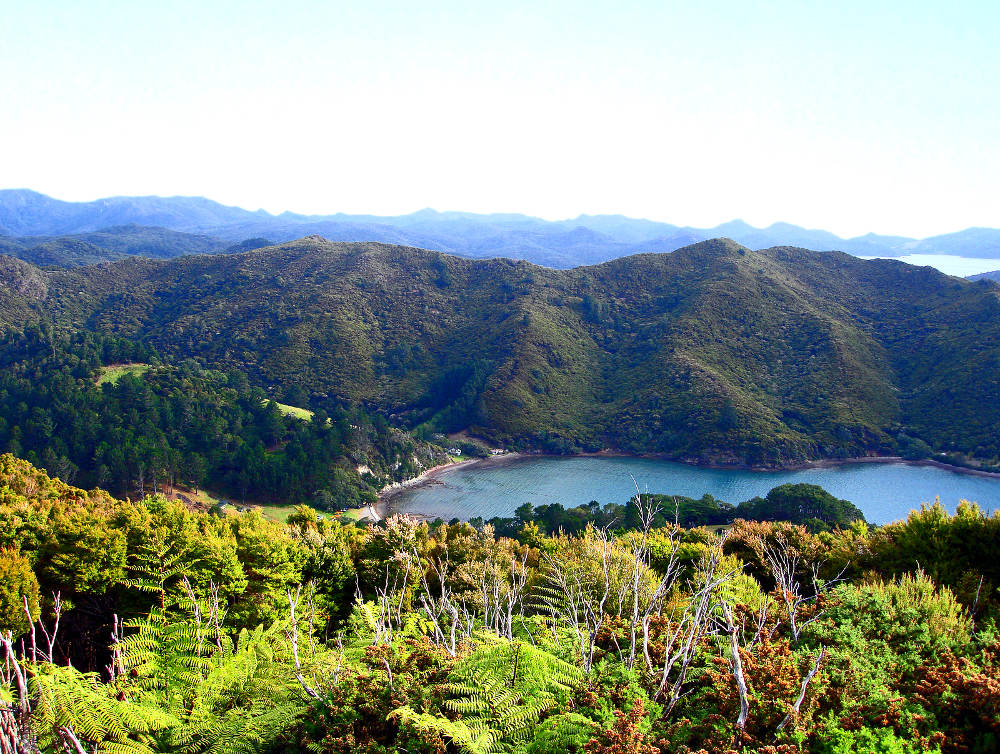 Orama's Bay Great Barrier Island Nieuw Zeeland