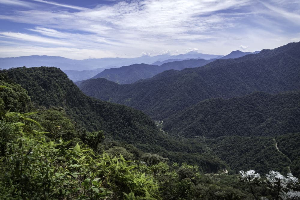 Bella Vista Valley in Mindo